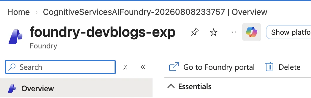 Foundry resource overview with Go to Foundry portal
