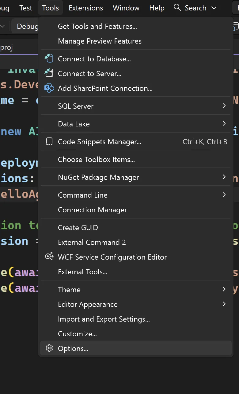 The Visual Studio Tools menu expanded with the Options item highlighted at the bottom of the list