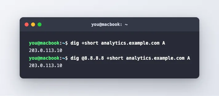 The dig command returning the server's public IPv4 address for the analytics subdomain from both the local resolver and Google's