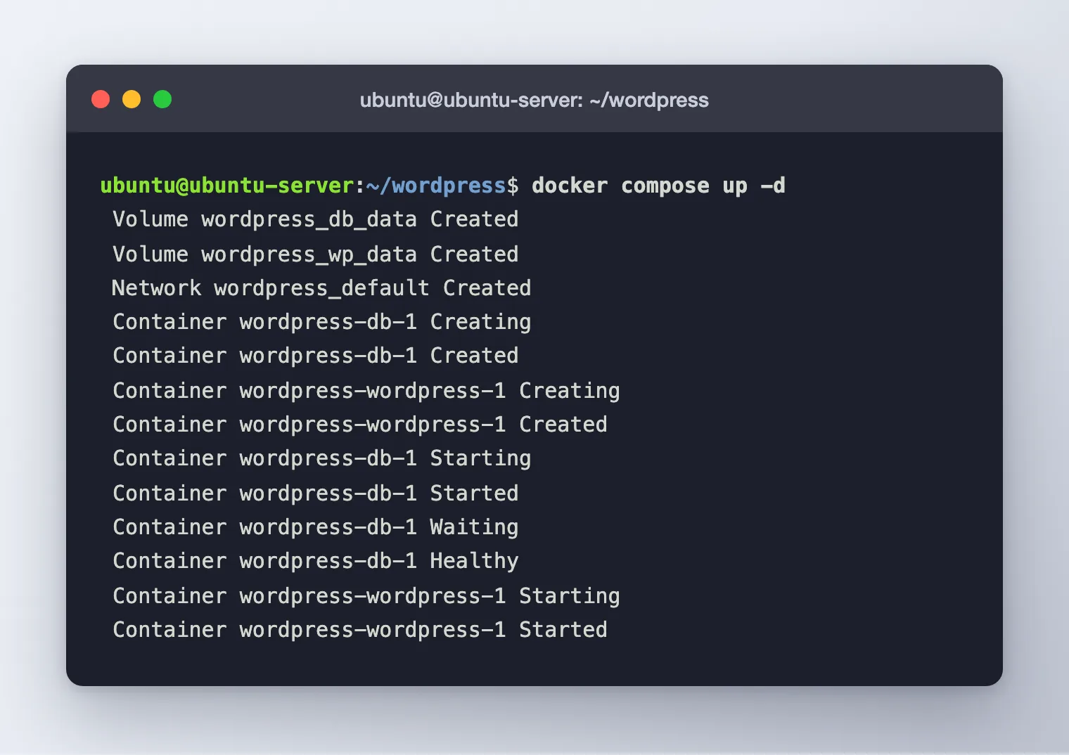 The end of docker compose up showing volumes and network created, the database becoming healthy, and both containers started