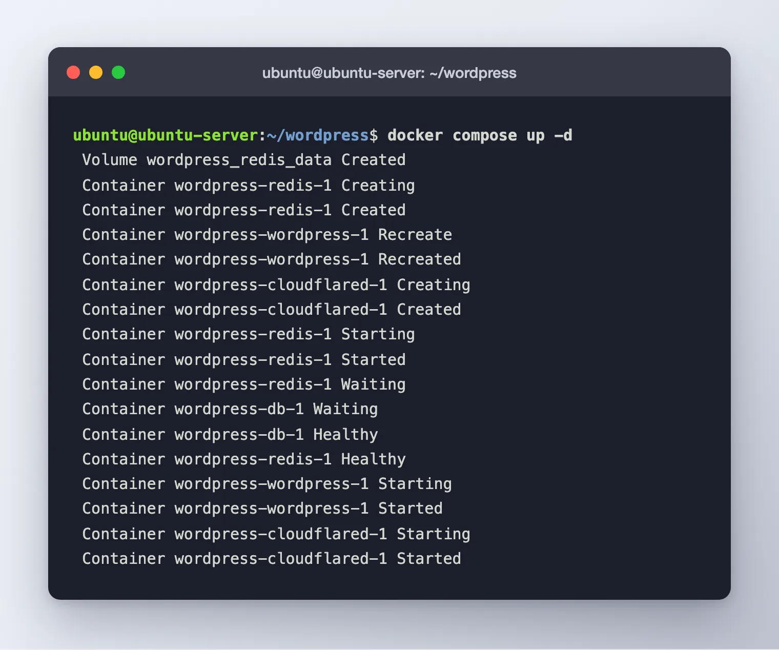 Docker Compose creating the redis volume and starting the redis, wordpress and cloudflared containers