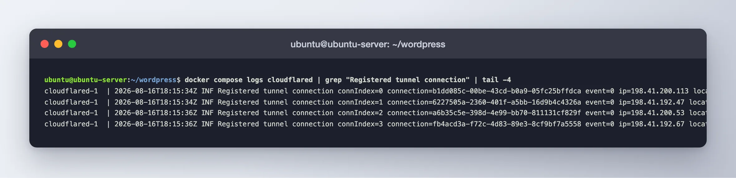 Cloudflared log lines showing four registered tunnel connections over the QUIC protocol