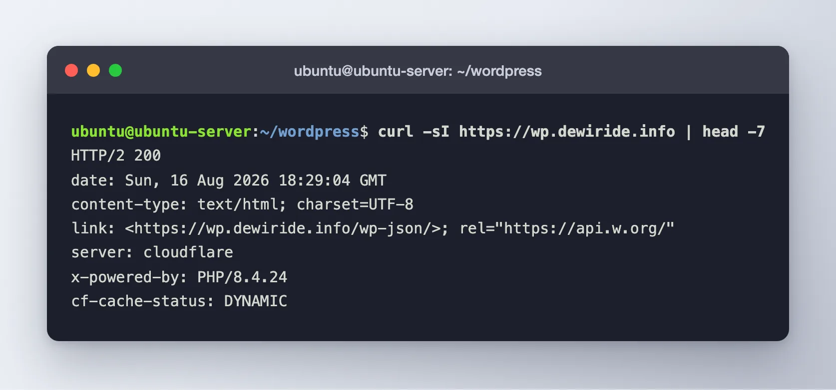 The curl output showing HTTP/2 200, server cloudflare and x-powered-by PHP 8.4.24