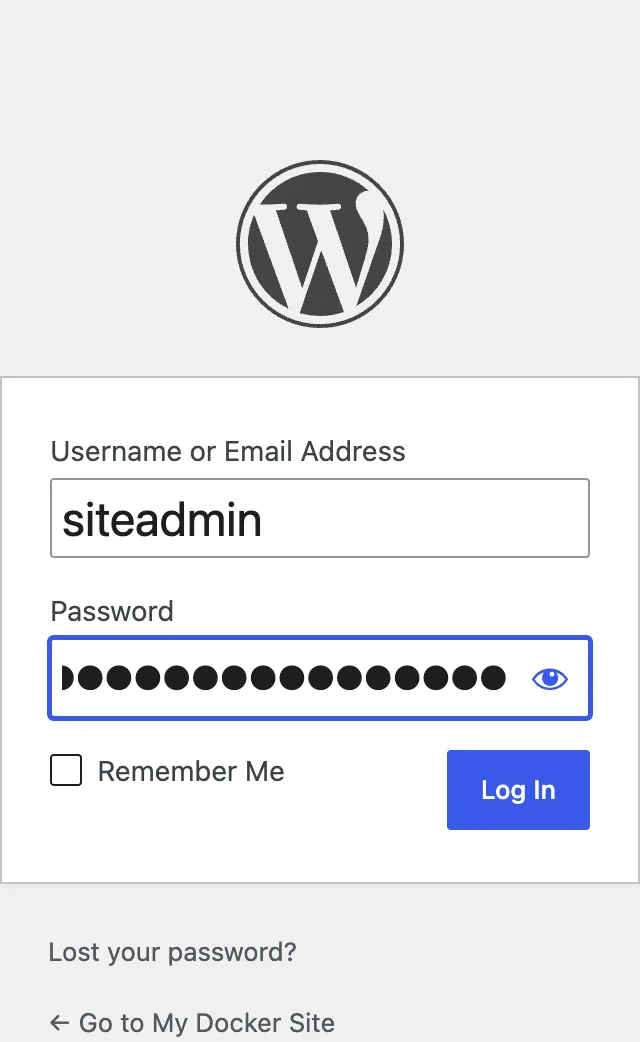 The WordPress login page served over HTTPS at the custom domain, with the username filled in and the password hidden