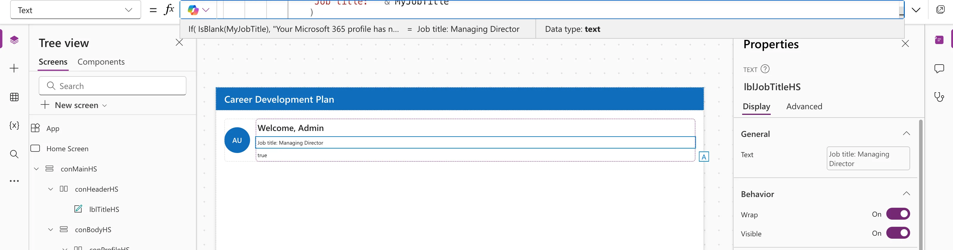 The formula bar with the If formula for the job title, the preview strip ending = Job title: Managing Director with Data type text