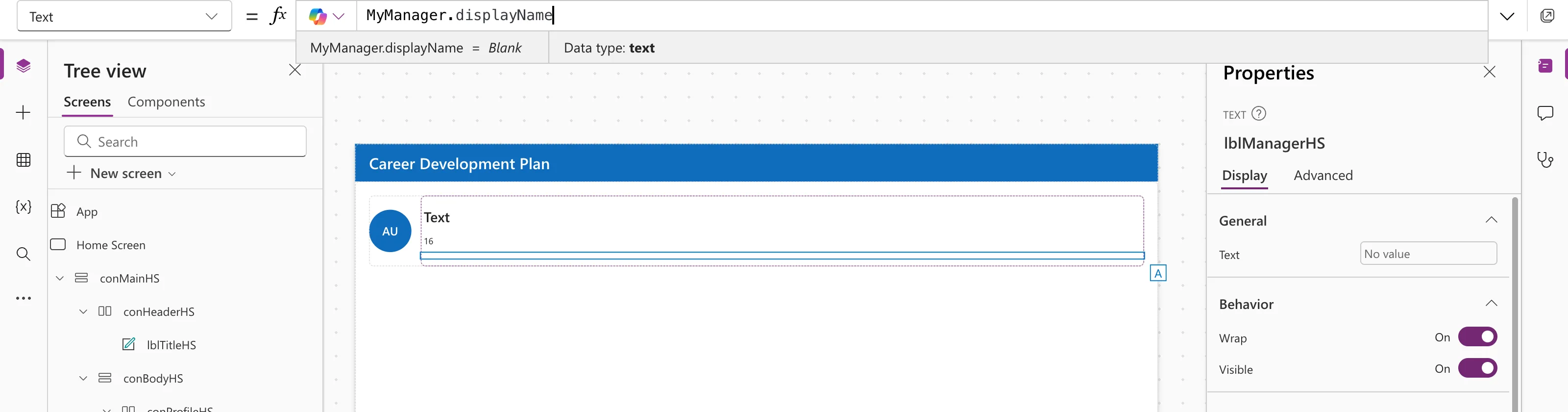 The formula bar with MyManager.displayName, the preview strip reading MyManager.displayName = Blank with Data type text