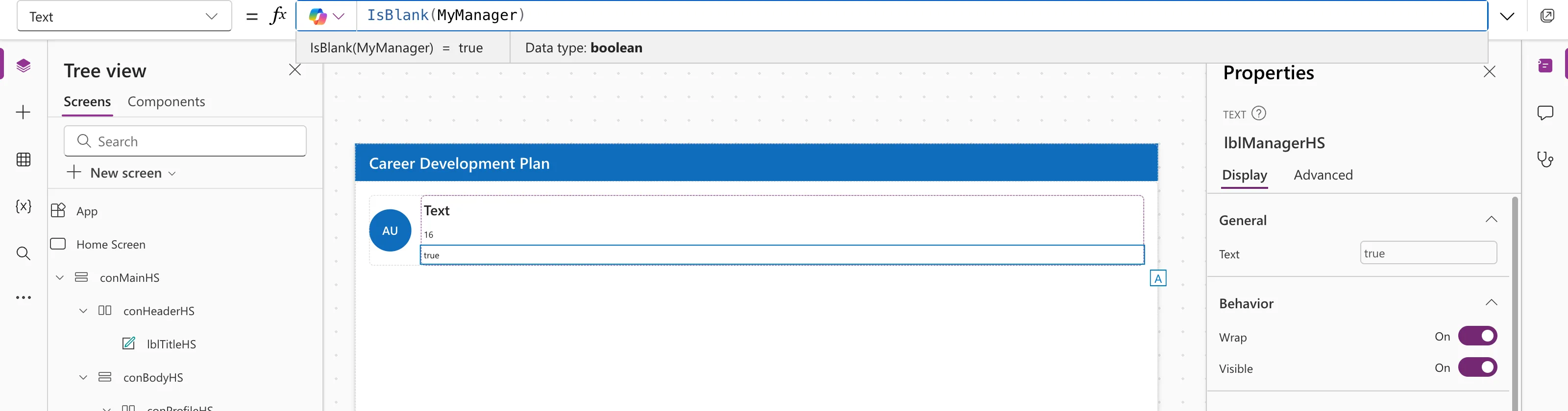 The formula bar with IsBlank(MyManager), the preview strip reading IsBlank(MyManager) = true with Data type boolean