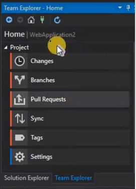 Visual Studio Team Explorer