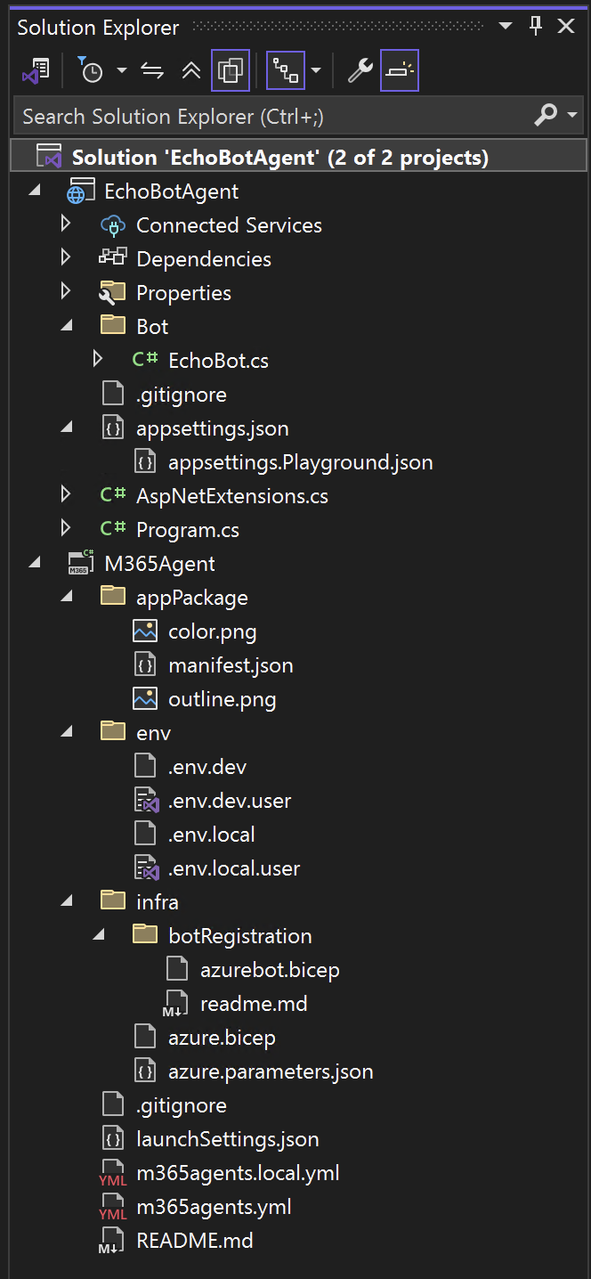 Echo Bot Project Structure
